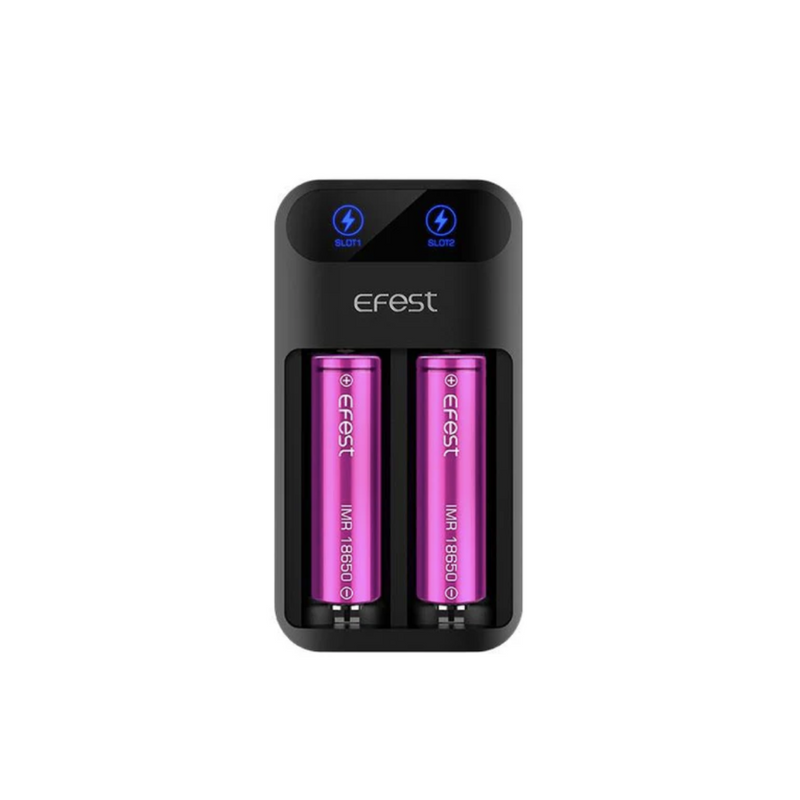 EFEST 2 BAY BATTERY CHARGER