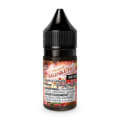 12 Monkeys SALTS - Sanctuary